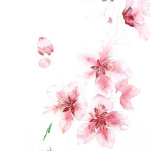 还是你的笑容最可爱