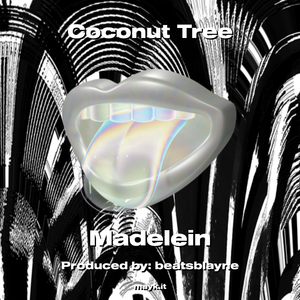 Coconut Tree