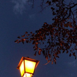 Alone Inside My Room