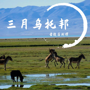 扎西德勒（cove.痛仰乐队）（翻自 高虎）