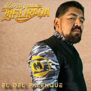 El del palenque (tolo) (live)