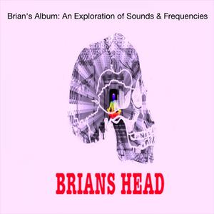 Brian's Head