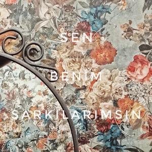 Sen Benim Şarkılarımsın