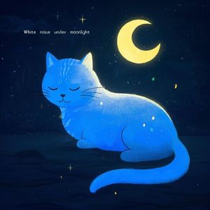 Whispering in the Night Rain (The Starry River Outside the Window Enters Dreams)