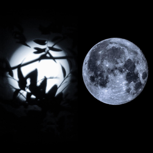 What Archetypes Say (feat. Modern English)