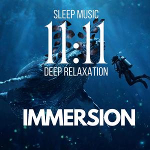 IMMERSION