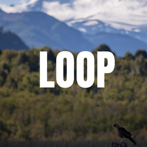 LOOP