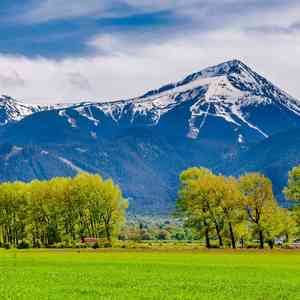 小雨伴微风 (手碟)