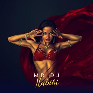 Habibi (Original Mix)