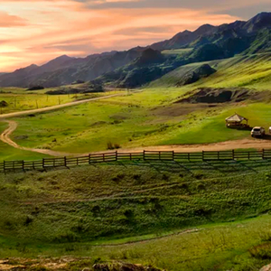 Арман құсым(live)