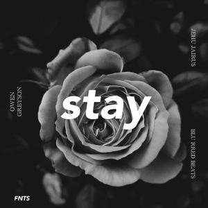 stay