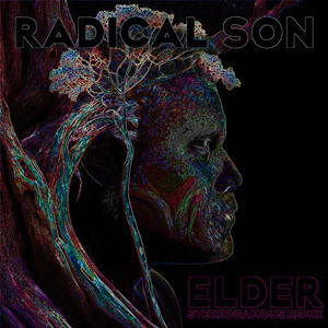 Elder (Stereogamous Remix)