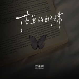 落单的蝴蝶（校园广播版）