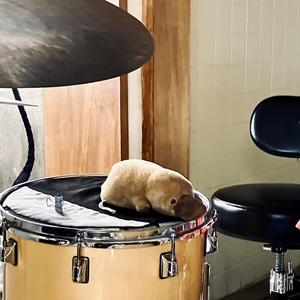 釋迦 (Live Session)