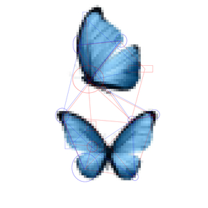 Le Cocon et le Papillon