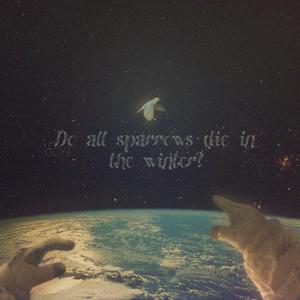 是不是所有麻雀都会在冬天死去