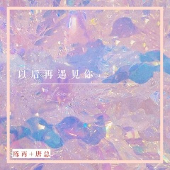 以后遇见你 (DJ版)