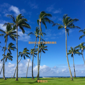 适合办公室工作温柔的音乐