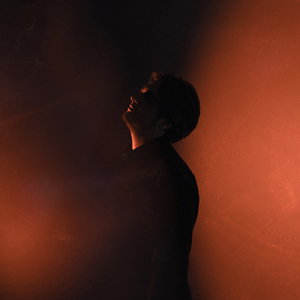 Любовный напиток