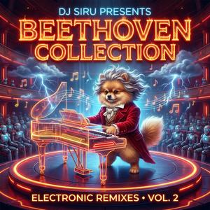 For Elise (Electronic Jazz Remix)