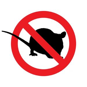 你都喊我兄弟那我还说啥了