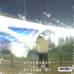 Light Show (feat. Sem & Shad Tyson)