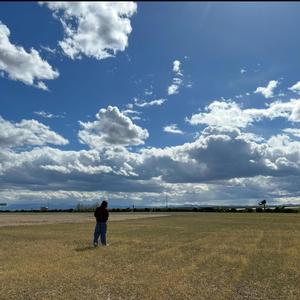 Bad descisions (have fun)