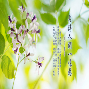 夏雨风荷 (加长版)