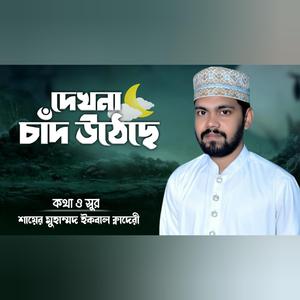 দেখনা চাঁদ উঠেছে, রাসুলে পাক এসেছে