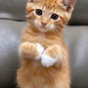 I Look in People's Windows (sped up)