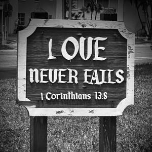 Altered State (2 for 1)