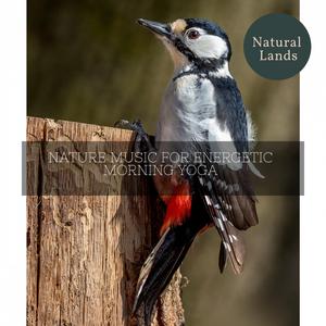 Squawking Bird Songs