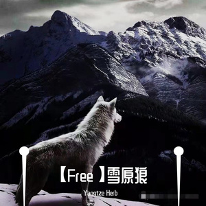 【Free】雪原狼