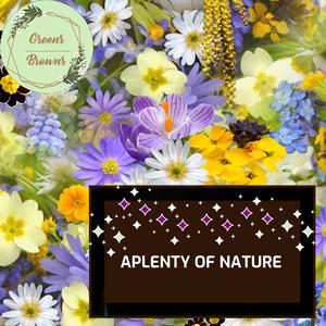 Water Sea and Ocean Waves