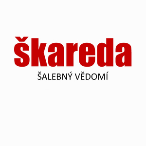 Šalebný vědomí