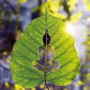 寻一束光 (激情版)