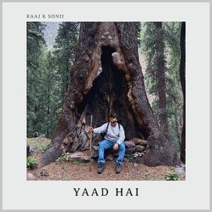 Yaad hai