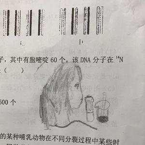 这是一首祝大家毕业快乐的歌