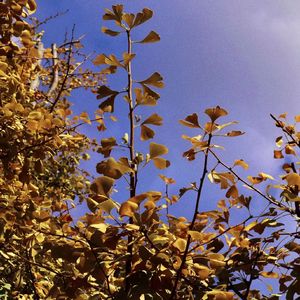 II （Feat.金师民）