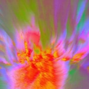 IT'S BETTER AT THE BOTTOM