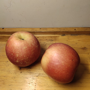 你永远隔着朋友的距离