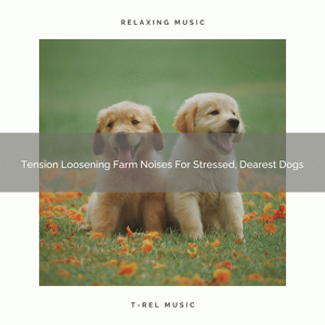 Stress Relieving Weather Songs For Our Dogs