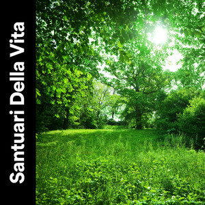 Musica rilassante per meditazioni oceaniche, Pt. 5