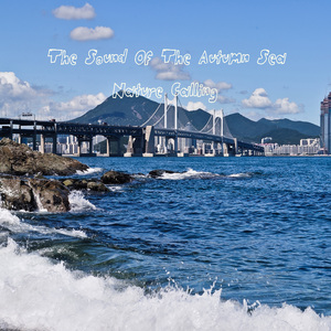 가을바닷가 소리