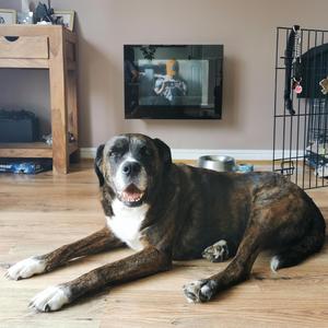 Tiny (Solo Piano Version)