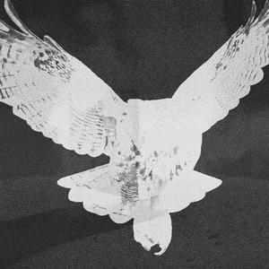 The hunt and the kill