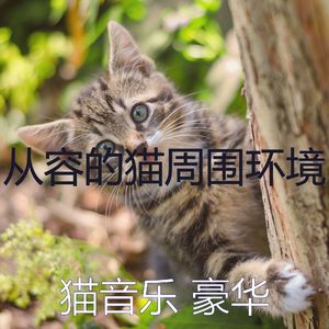 微妙的小猫心情