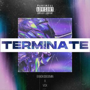 'Terminate' Hyperpop Type Beat