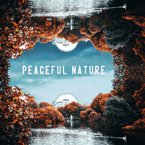 Calmness: Waves on the Sandy Beach