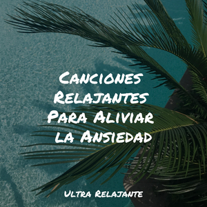 Canciones De Cuna Con Encanto